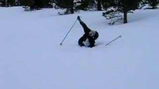 Skiing Norway  The big Ostrich Fall [upl. by Neff]