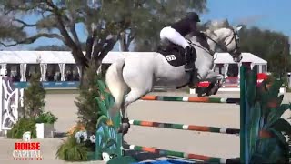 HITS Ocala Winter Series 2024 [upl. by Amalbergas]