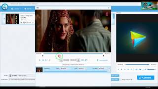 4Videosoft Video Converter Ultimate tutorial How to use Convert any format [upl. by Ennovy282]