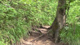 Bergtour auf den kleinen Sonnstein Traunkirchen Oberösterreich [upl. by Rooney]