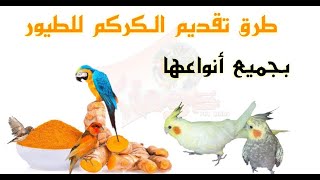 فوائد الكركم التومريك للطيور وطريقة تقديمه للطيور [upl. by Zina483]