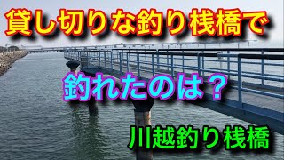 貸切な釣り桟橋で釣れたのは？川越釣り桟橋 [upl. by Conah]