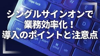 シングルサインオンで業務効率化！導入のポイントと注意点 [upl. by Ahseila]