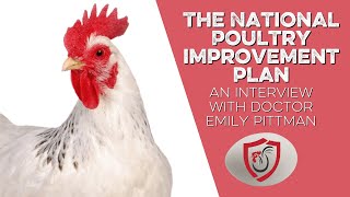 The National Poultry Improvement Plan  An Interview with Doctor Emily Pittman [upl. by Abbott653]