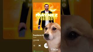 HASTA LOS PERROS MUEVEN LA CABEZA Y ESCUCHANDO LA CANCIÓN DE MAYNEZ PRESIDENTE 😂 [upl. by Riaj]