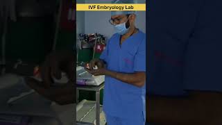 IVF Embryology Lab working ivf ivfcenter ivfclinic embryology embryologist ivfprocess shorts [upl. by Acsirp]