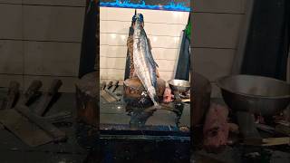 KINGFISH big See water Fishcutting Surmai fish shorts video [upl. by Peterec348]