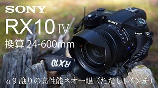 SONY  α9譲りの高性能ネオ一眼（ただしセンサーは1インチ） DSCRX10M4 使ってみた ～ ワイド端（24mm）で動画収録、テレ端（600mm）で野鳥撮影 ～ [upl. by Enotna248]