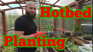 How To Plant In Hotbeds  Growing Heat Loving Plants Early [upl. by Assener364]