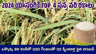 Top 4 paddy seeds in telugu States  Rnr 15048 Knm 12368 Mtu 1282 Wgl 962 సన్నవరిరకాలు [upl. by Gurevich]