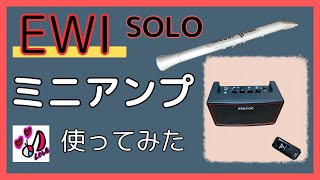 【EWI SOLO 】EWI 用のミニアンプを購入 使用してみた [upl. by Teri]