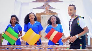 Leulseged Niguse  Birer Alegn  New Ethiopian Music 2016 Official Video [upl. by Elamaj]