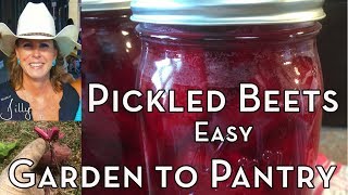 How to Pickle Beets Easy – From Garden to Pantry [upl. by Filemon697]