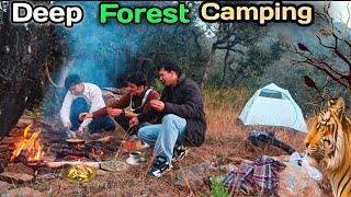 Group Camping In Deep Forest  Camping In india TheNatureHacker [upl. by Refanej676]