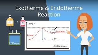 Exotherme und Endotherme Reaktionen  Beispiele und Energiediagramme [upl. by Flora]