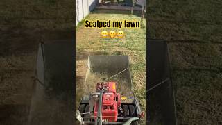 Scalped my lawn leveling using sand lawn diy [upl. by Acimat]