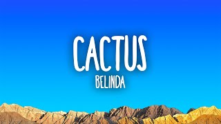 Belinda  Cactus [upl. by Hsatan]