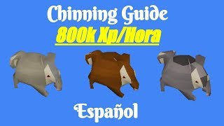 OSRS Chinning Guide Español  800k Range XPHr  Monkey Madness 2 [upl. by Oppen867]