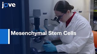 Mesenchymal Stem Cells Isolation and Expansion  Protocol Preview [upl. by Bridgid]