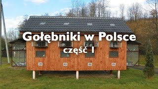 Gołębniki w Polsce  część 1 [upl. by Areem]