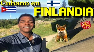 8 COMO LLEGUE A FINLANDIA 🇫🇮  EL FINAL DE UN VIAJE 🧳 [upl. by Aaronson]