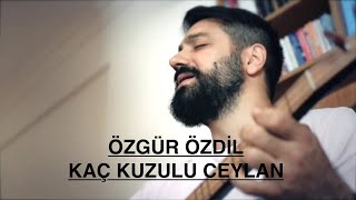 Özgür Özdil  Kaç Kuzulu Ceylan [upl. by Leid]