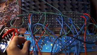 Wiard 300 Synth  Spring Reverb Music Thing Modular [upl. by Adey]