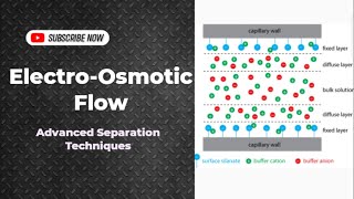 ElectroOsmotic Flow  Capillary Electrophoresis  Separation Techniques CHM603  UrduHindi Lecture [upl. by Nerua]