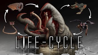 Graboids  6 Stage life cycle  Origins Explained [upl. by Elmira768]