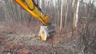 FAE Forestry Mulcher 4CX15 Backhoe [upl. by Pontus]