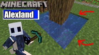 Alexland  40 FARM de ALGA Minecraft 116 [upl. by Ronn]