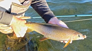 GRAYLING ON THE FLY AT FRONTIER FISHING LODGE [upl. by Philemon]