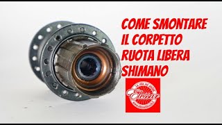 Come fare manutenzione al corpetto ruota libera Shimano [upl. by Attolrahc]