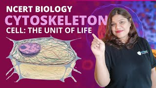 Cytoskeleton structure and function  Cell  Class 11  Biology [upl. by Eniamreg]