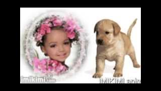 IMIKIMI Animated Dog and Puppy Photo Frames by Photo Fun Art [upl. by Jann817]