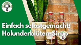 Holundersirup einfach selber machen  inklusive Rezept [upl. by Tacita56]