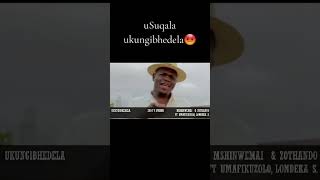 🔥😍mshinwemali Bhincakazifypviral maskandi viralreelssama28youtubeshortszulutribe [upl. by Halyak]