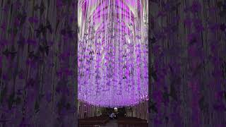 A Magical display in Wells Cathedral with the theme of Praying for Peace [upl. by Saire]