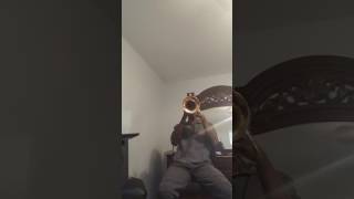 Old Rugged Cross Flugel horn solo [upl. by Treharne794]