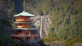 quotFit für ein neues Lebenquot Wandern und Pilgern auf Japans Kumano Kodo [upl. by Burney621]