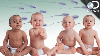 The Disturbing Truth About Sperm Banks [upl. by Rika267]