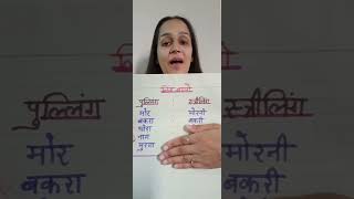 Hindi Grammar LING Gender  लिंग Ling Badlo Examples  Hindi Grammar for kids Ling Badlo shorts [upl. by Gerhan]