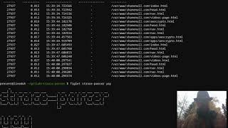 linux stack tracing nginx and strace parser [upl. by Diahann621]