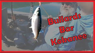 KOKANEE FISHING New Bullards Bar Reservoir  A Fall Crawl [upl. by Yeruoc665]