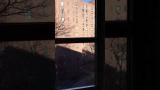 East Village Apartment Tour Stuytown 4 bedroom [upl. by Howey703]