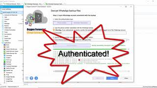 How To Decrypt WhatsApp Messages With Oxygen Forensic Detective [upl. by Ecnadnac]