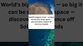 Worlds biggest coral so big it can be seen from space discovered by chance off Solomon Islands [upl. by Arodaeht]