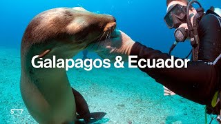 Galapagos amp Ecuador Discover the RealLife Jurassic Park [upl. by Doro]