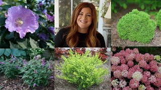 10 Small Shrubs that Will Fit In Any Garden 🌿  Garden Answer [upl. by Pickering]