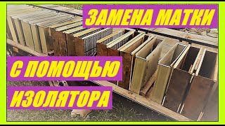 Ежегодная смена матки с помощью изолятора [upl. by Anderea888]